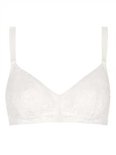 CLAIR BUSTIER